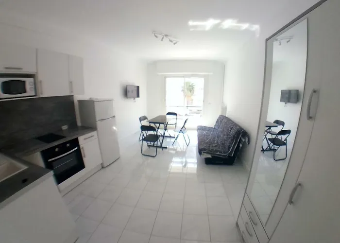 Les Dauphins Apartment *