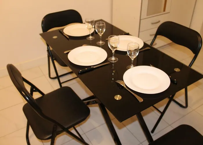 Les Dauphins Apartment Nice